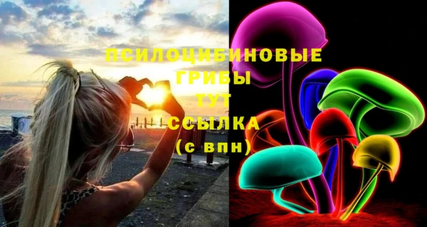 таблы Ельня